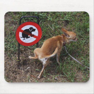 Tapis De Souris L'ignorance est néfaste