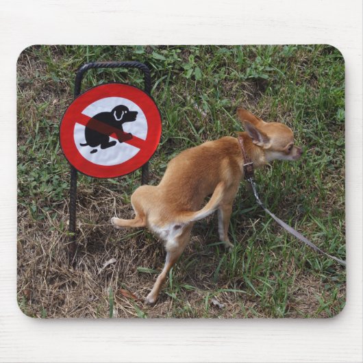 Tapis De Souris L'ignorance est néfaste (Devant)