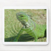 Tapis De Souris L'Iguana verte (Devant)
