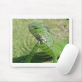Tapis De Souris L'iguane vert (Avec souris)