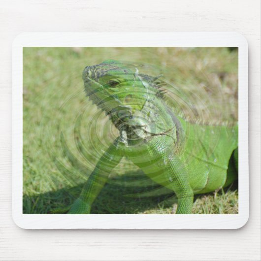 Tapis De Souris L'iguane vert (Devant)