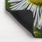 Tapis De Souris Li'l Daisy Mousepad (Coin)