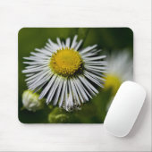 Tapis De Souris Li'l Daisy Mousepad (Avec souris)