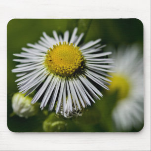 Tapis De Souris Li'l Daisy Mousepad