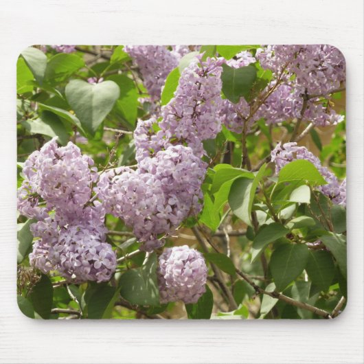 Tapis De Souris Lilac Bush Belles fleurs de printemps violettes (Devant)