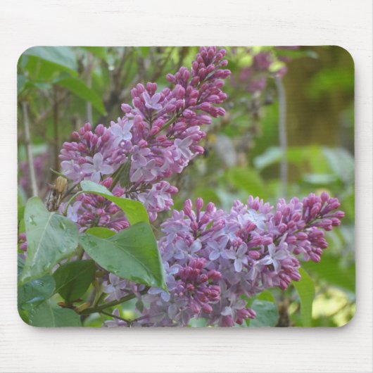 Tapis De Souris Lilacs (Devant)