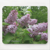 Tapis De Souris Lilacs pourpres Mousepad (Devant)