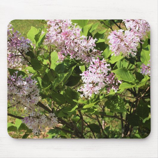 Tapis De Souris Lilas (Devant)