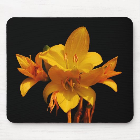 Tapis De Souris Lilies (Devant)
