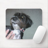 Tapis De Souris Lilypad (Avec souris)