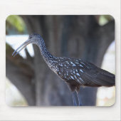 Tapis De Souris Limpkin (Devant)