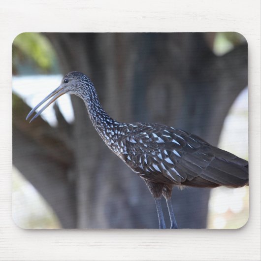 Tapis De Souris Limpkin (Devant)