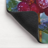 Tapis De Souris Lingonberries congelées (Coin)