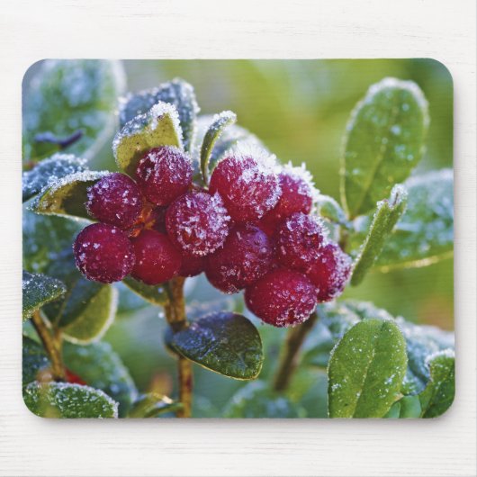 Tapis De Souris Lingonberries congelées (Devant)