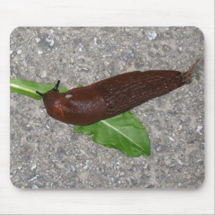 Tapis De Souris Lingot
