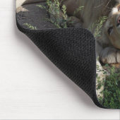Tapis De Souris Lion (Coin)