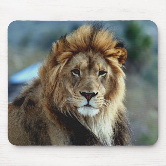 Tapis De Souris Lion (Devant)