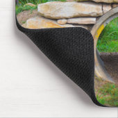 Tapis De Souris Lion (Coin)