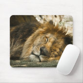 Tapis De Souris lion (Avec souris)