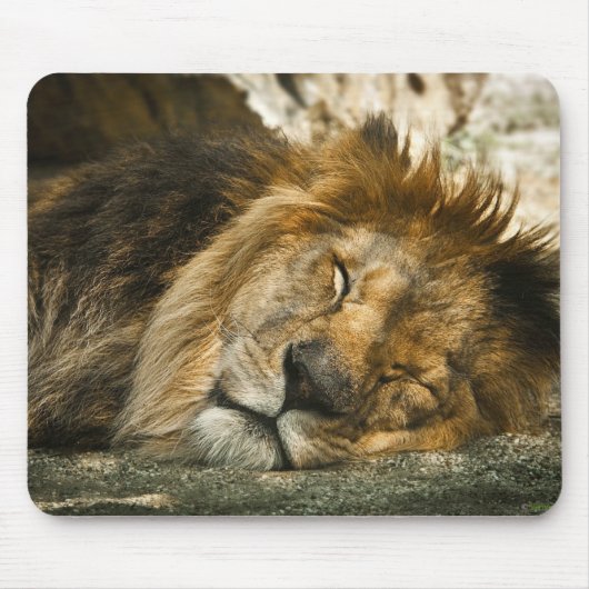 Tapis De Souris lion (Devant)