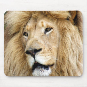 Tapis De Souris lion