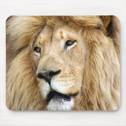 Tapis De Souris lion (Devant)
