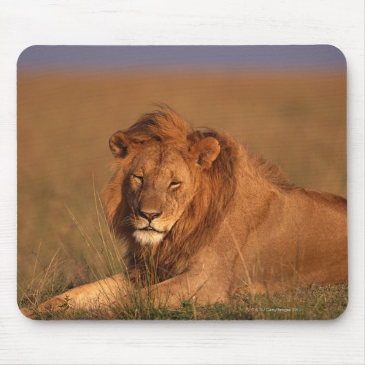 Tapis De Souris Lion (Devant)