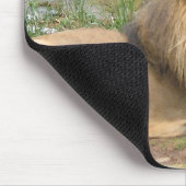 Tapis De Souris Lion (Coin)