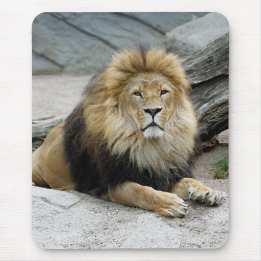 Tapis De Souris Lion 020 (Devant)