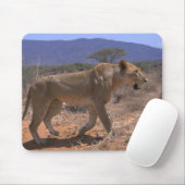 Tapis De Souris Lion 3 (Avec souris)