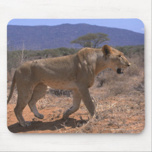 Tapis De Souris Lion 3