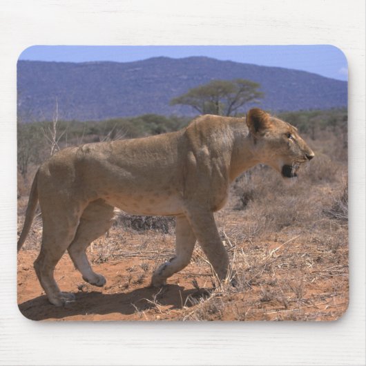 Tapis De Souris Lion 3 (Devant)