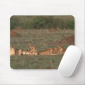 Tapis De Souris Lion 4 (Avec souris)