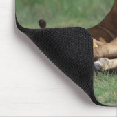 Tapis De Souris Lion 5 (Coin)