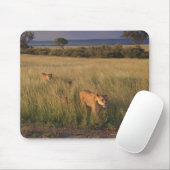 Tapis De Souris Lion 6 (Avec souris)