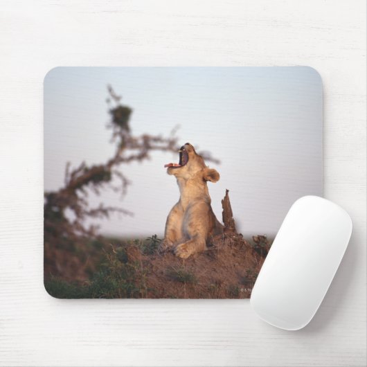 Tapis De Souris Lion 7 (Avec souris)
