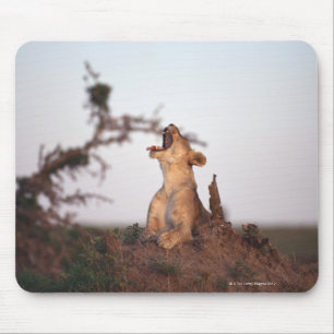 Tapis De Souris Lion 7