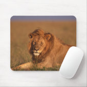 Tapis De Souris Lion 8 (Avec souris)