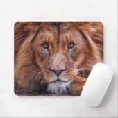 Tapis De Souris Lion africain (Avec souris)