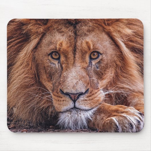 Tapis De Souris Lion africain (Devant)