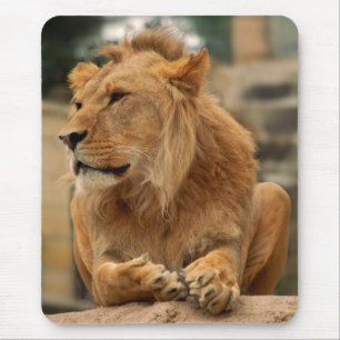 Tapis De Souris Lion avec une coupe de punk