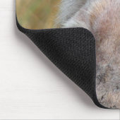 TAPIS DE SOURIS LION BLANC RARE (Coin)