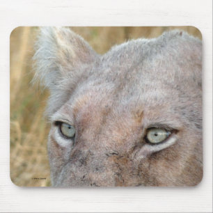 TAPIS DE SOURIS LION BLANC RARE