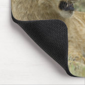 Tapis De Souris Lion Brothers (Coin)