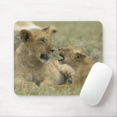 Tapis De Souris Lion Brothers (Avec souris)