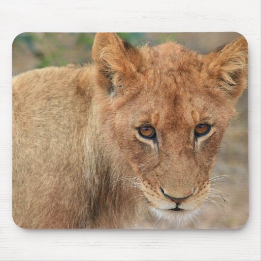 Tapis De Souris Lion CUB (Devant)