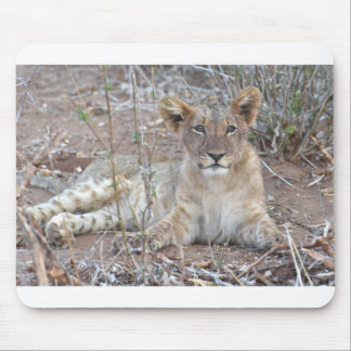 Tapis De Souris Lion Cub Avec Un Regard Doux Et Innocent.