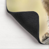 Tapis De Souris Lion Cub Climbing Tree Cute Photo (Coin)