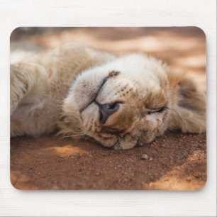 Tapis De Souris Lion CUB de sommeil des images   de Getty