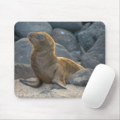Tapis De Souris Lion de mer des Galapagos (Avec souris)